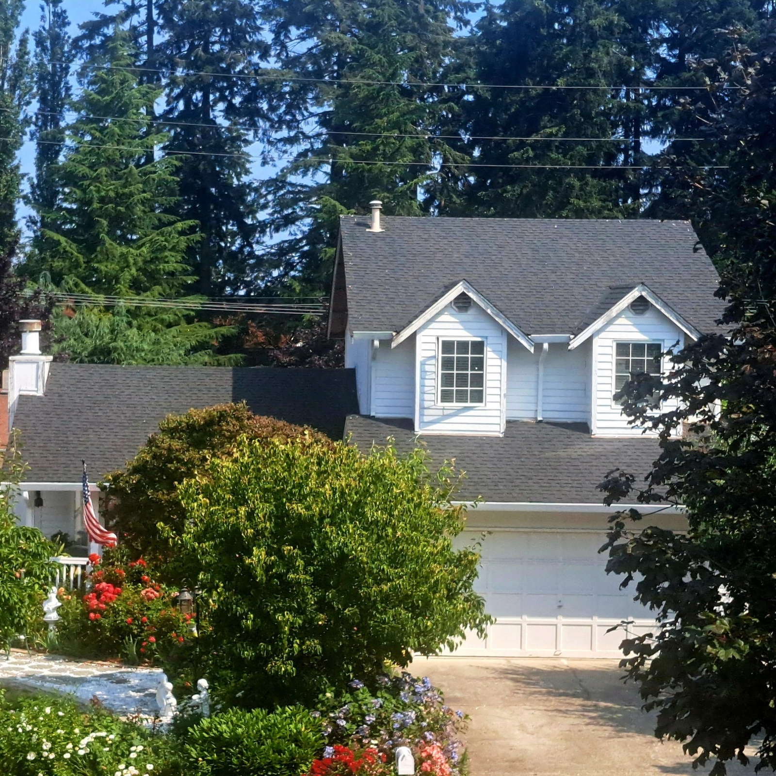 Roof & Gutter Cleaning